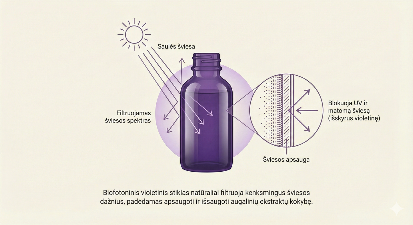 Shiitake dvigubo ekstrakto tinktūra