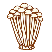 Enoki