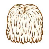 Lion's Mane