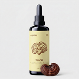 Reishi tinktūra