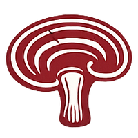Reishi