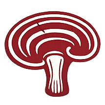 Reishi