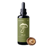Shiitake Tinktūra