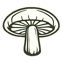 Shiitake